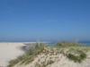 Grenen Skagen 10883