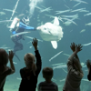 Nordsoeen Oceanarium